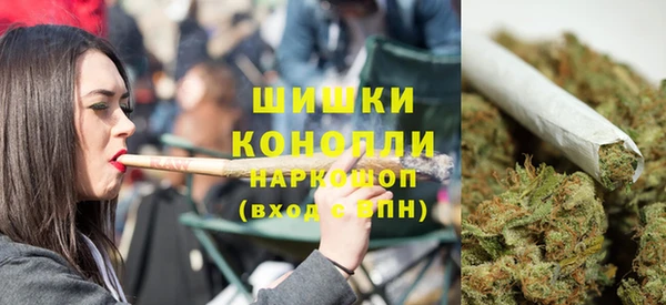 дмт Арсеньев