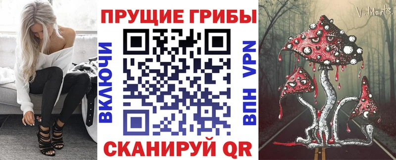 Галлюциногенные грибы Psilocybine cubensis  наркотики  сайты даркнета формула  Сясьстрой 